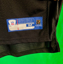 Load image into Gallery viewer, RAIDERS Warren Sapp replica on the field jersey